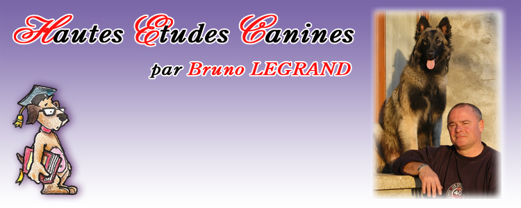 Hautes études canines par Bruno Legrand
